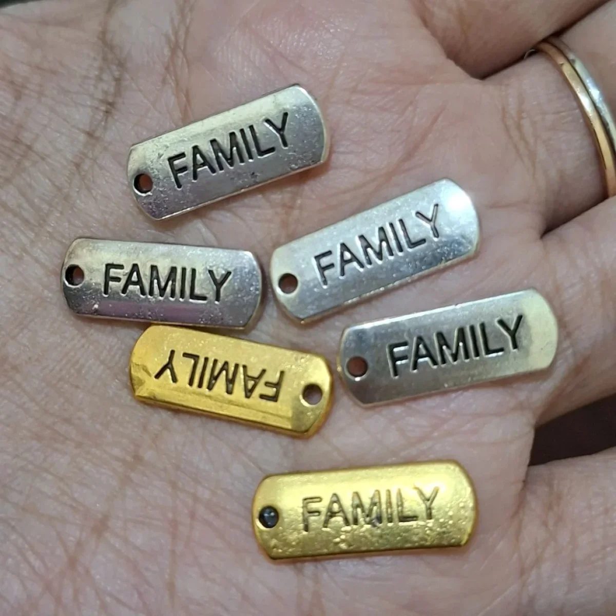 6pcs family