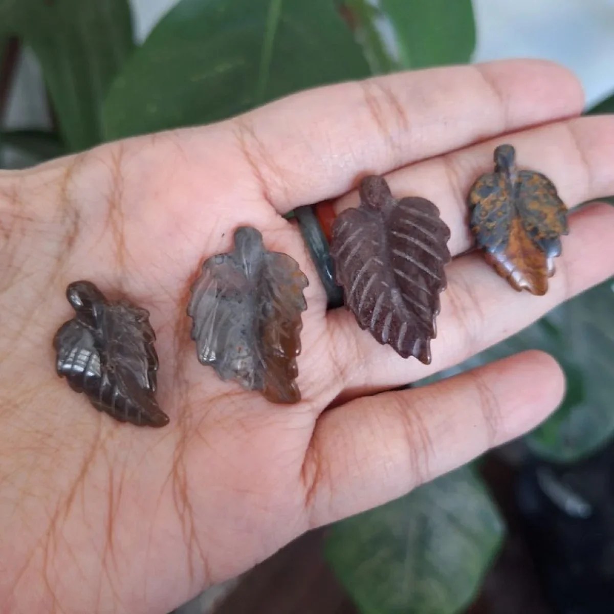 Bentuk daun