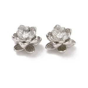 1pc Platinum