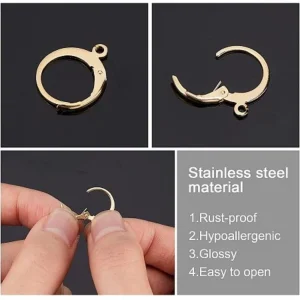 304 stainless steel leverback earring finding | anting (tdk ada ringnya)