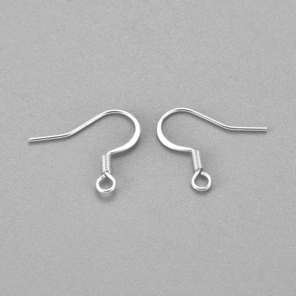 304 stainless steel french silver earring hooks | anting kawat stainless hypoallergenic